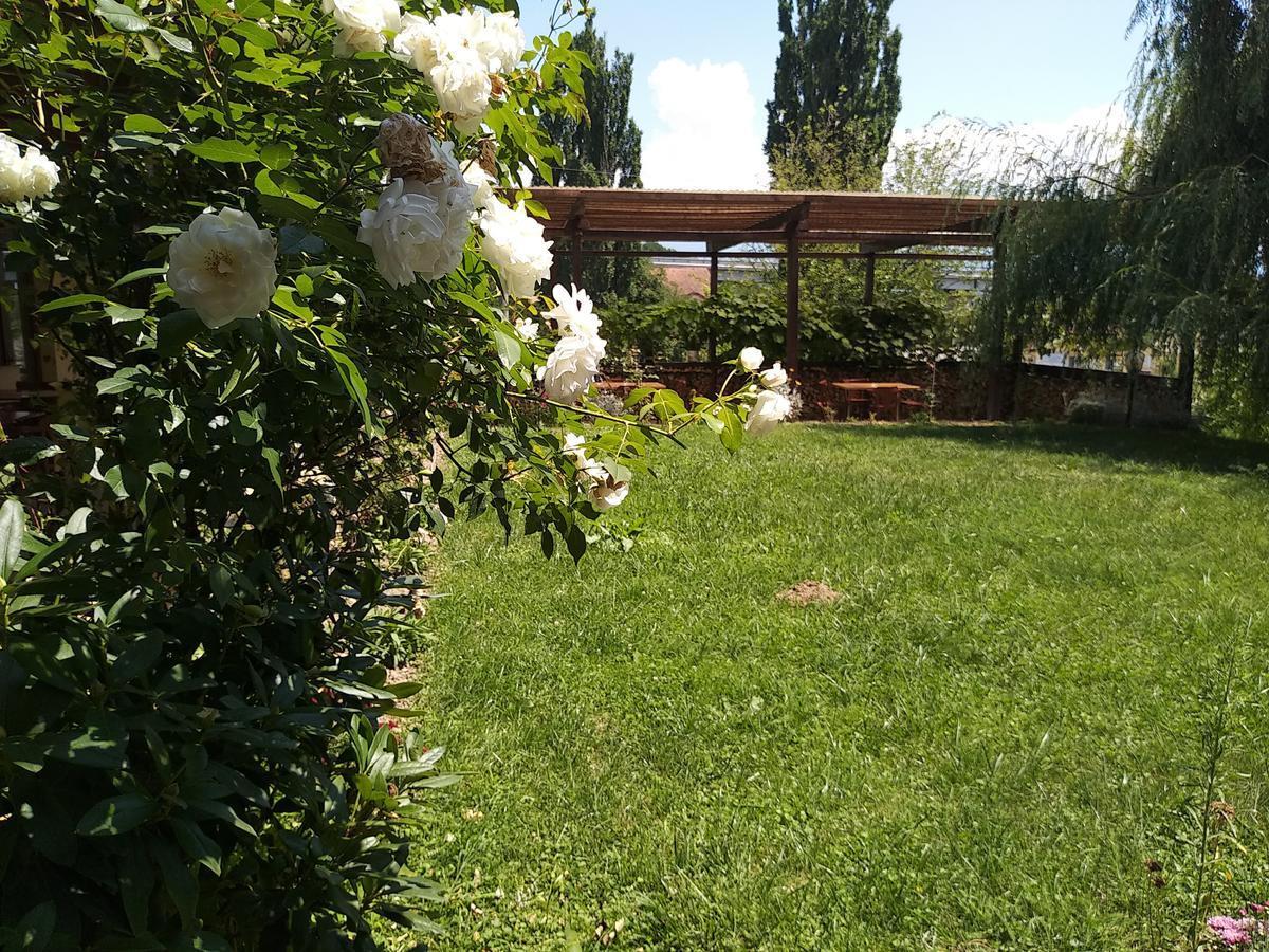 Bed and Breakfast Kolpinghaus Caransebeş Exterior foto
